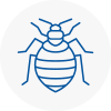 Bed Bug Extermination In Blackpool
